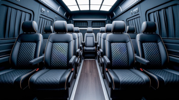 houston sprinter van with driver rental