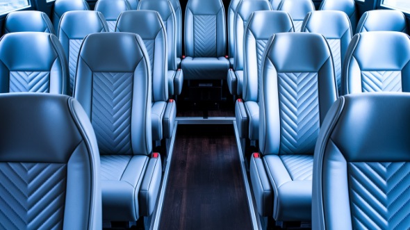 houston wine tour pub crawl bus rentals